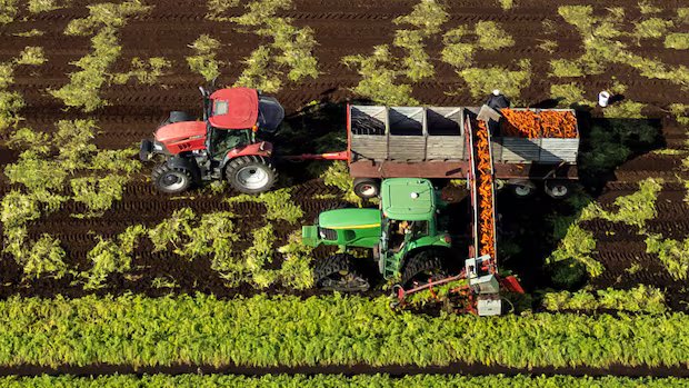 Canada has lost millions of hectares of farmland. Where is it all going?