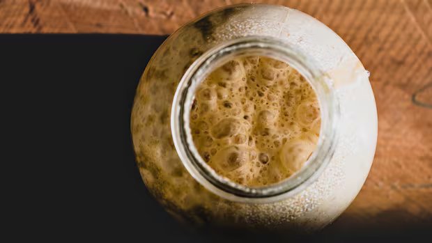 B.C. researchers turn to wild yeast in bid to help struggling craft breweries