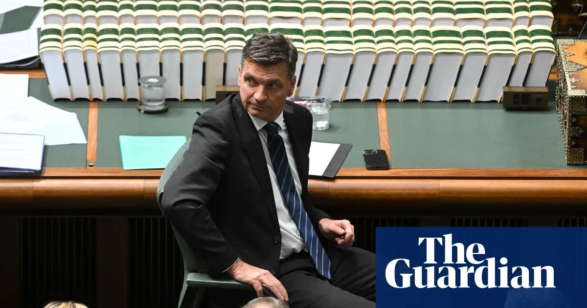 Liberals say ‘all options’ should be considered despite Angus Taylor hosing down gender quota proposal | Liberal party