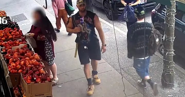 More details emerge about Vancouver stranger assault suspect – BC