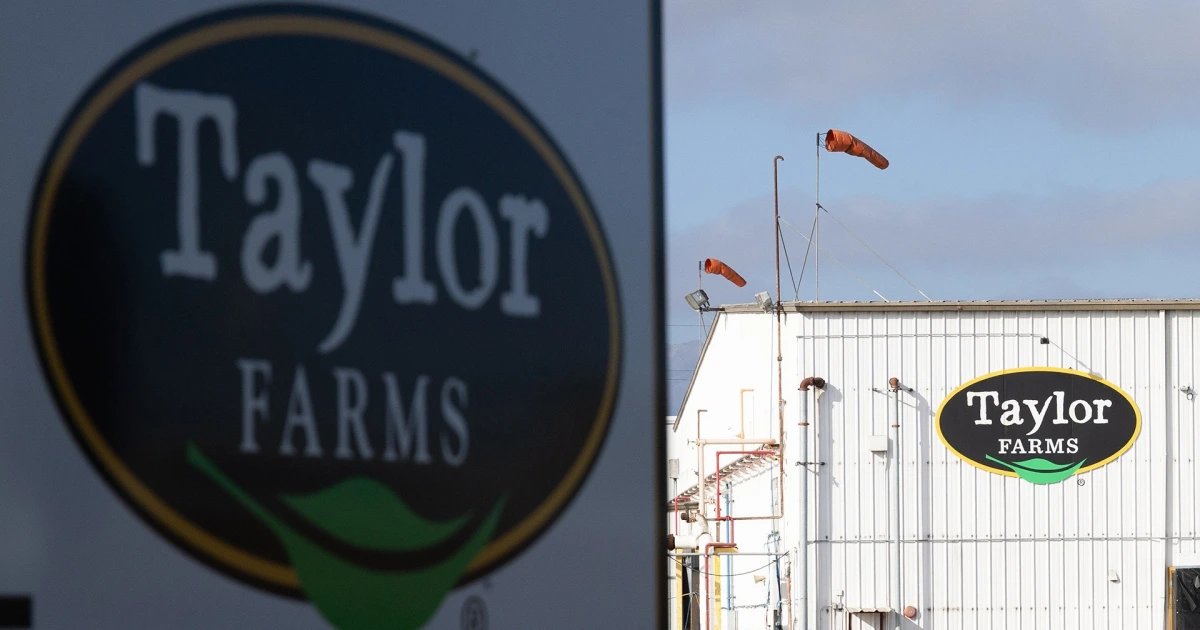 Taylor Farms Lettuce Test for Cyclospora Was False Positive: FDA