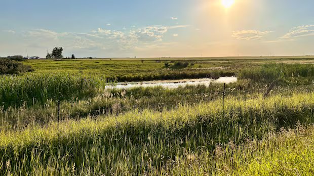 Proposed Wheatland County AI data centre hits close to home for concerned residents