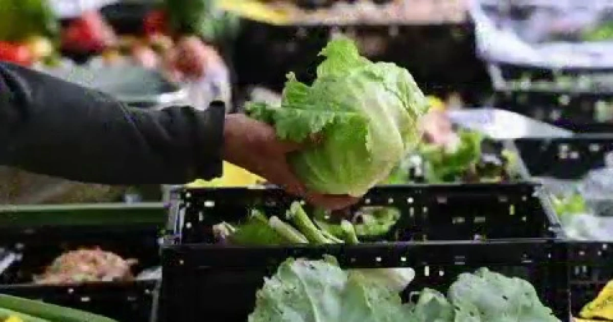 How the cyclospora outbreak is impacting the food industry