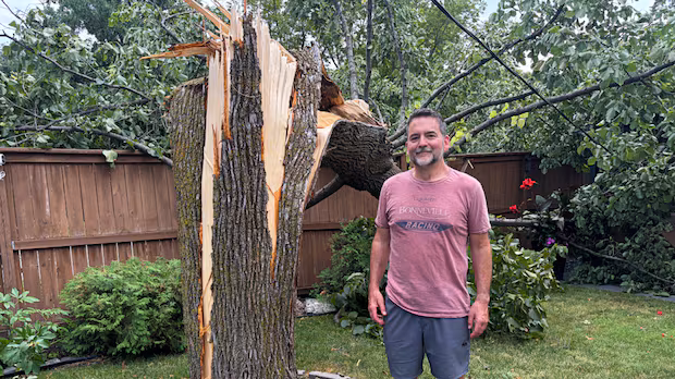Trees downed, thousands without power after wild winds, lightning shake southern Manitoba ‘like an earthquake’