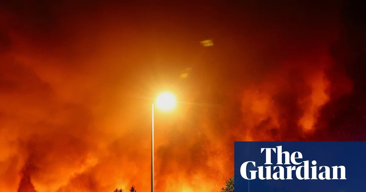 ‘We stared into an abyss’: the heroes battling to tame France’s ‘megafire’ | France
