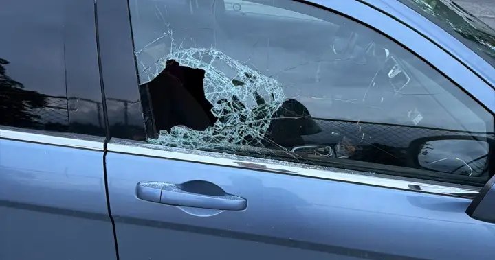 Nanaimo bar owner says she is fed up with city’s crime after daughter’s car targeted – BC
