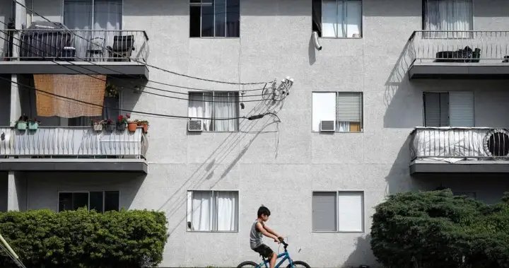 What to do if you lose power or air conditioning in a heat wave blackout – National