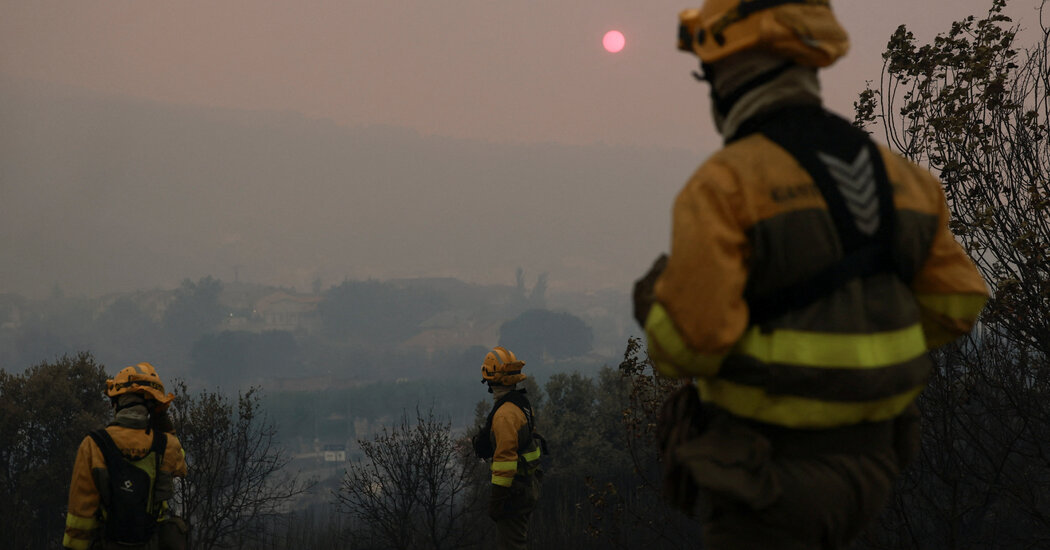 Conditions for European Wildfires Created by Summer of Extremes