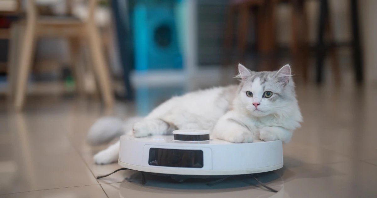 11 Best Vacuums for Pet Hair To Keep Your Home Fur Free, Tested