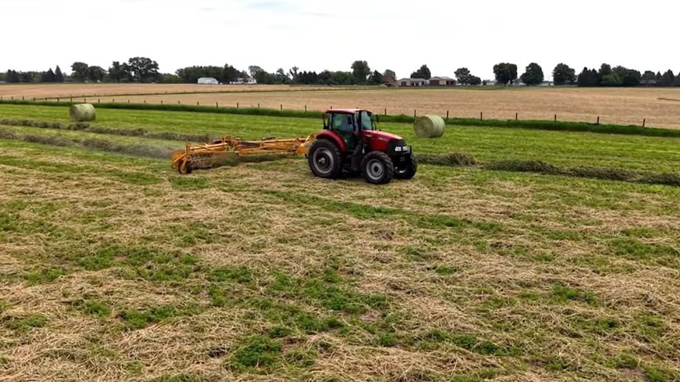 WATCH: How family-run farms helped build the America we know today