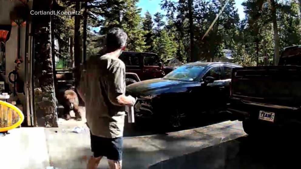 WATCH:  California man fights off charging bear near Lake Tahoe