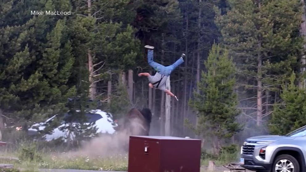 WATCH: Bison attacks tourist at Yellowstone Park