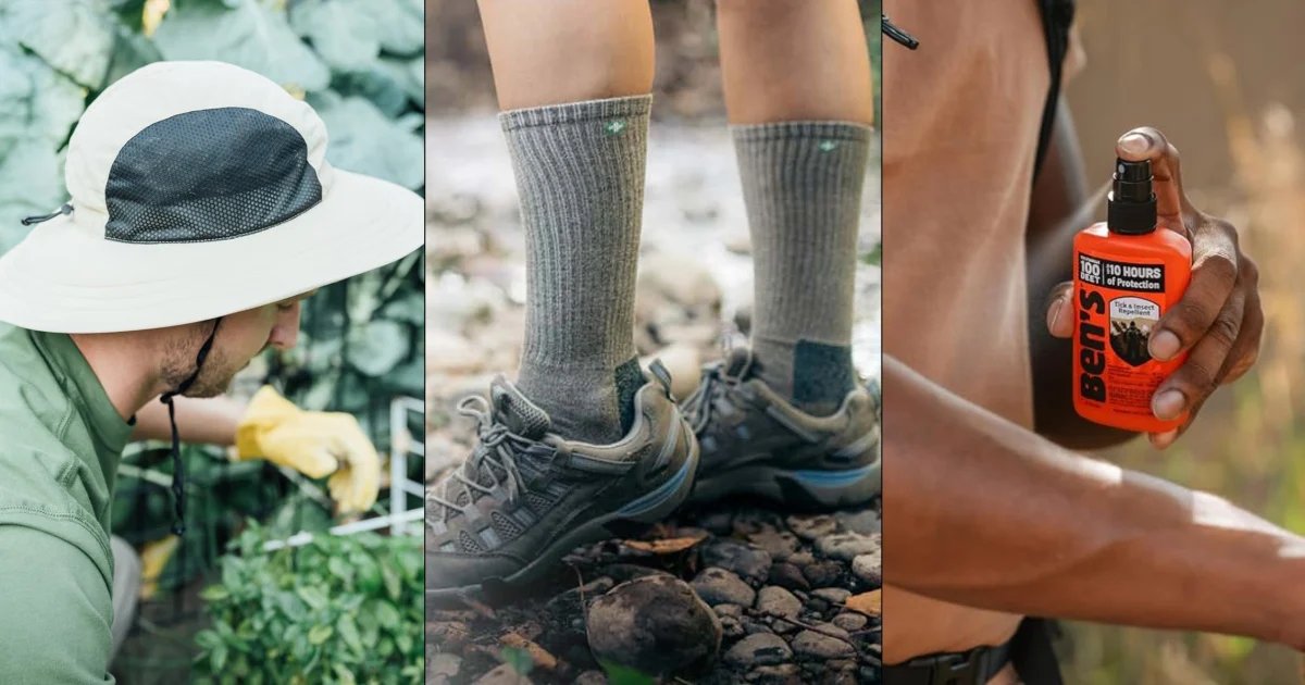 The Best Tick Prevention Products, According to Experts