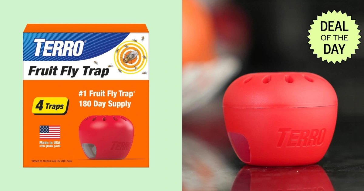 Terro Fruit Fly Trap Is 31% Off at Amazon Right Now