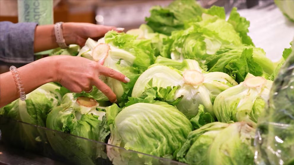 WATCH: Parasitic outbreak spreading across parts of the US