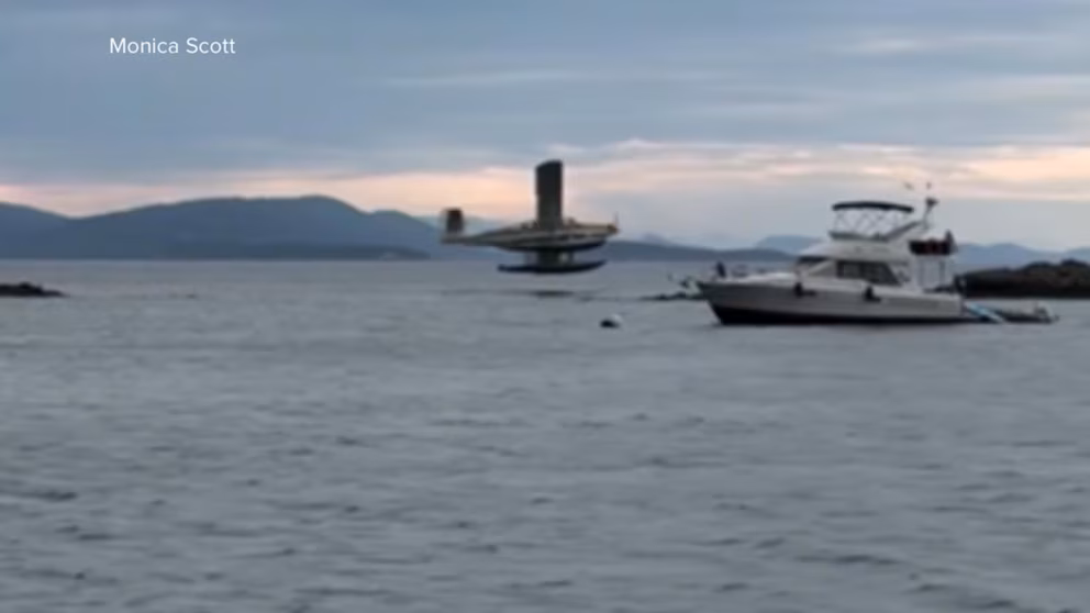 WATCH:  Dramatic rescue after seaplane crashes, bursts into flames
