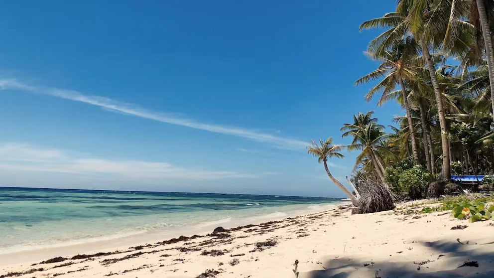 WATCH:  Expert: It's not too late to book summer travel in August