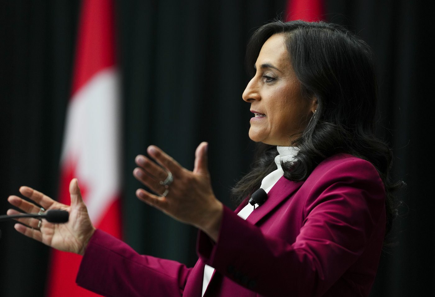 Anand offers Brazil $125M in energy financing, seals wildfire pact amid trade talks
