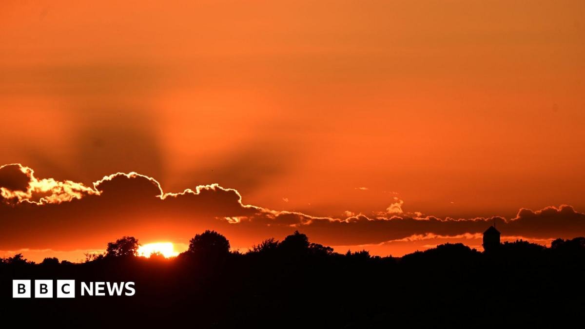 Thousands will have died in UK’s unprecedented May and June heatwaves