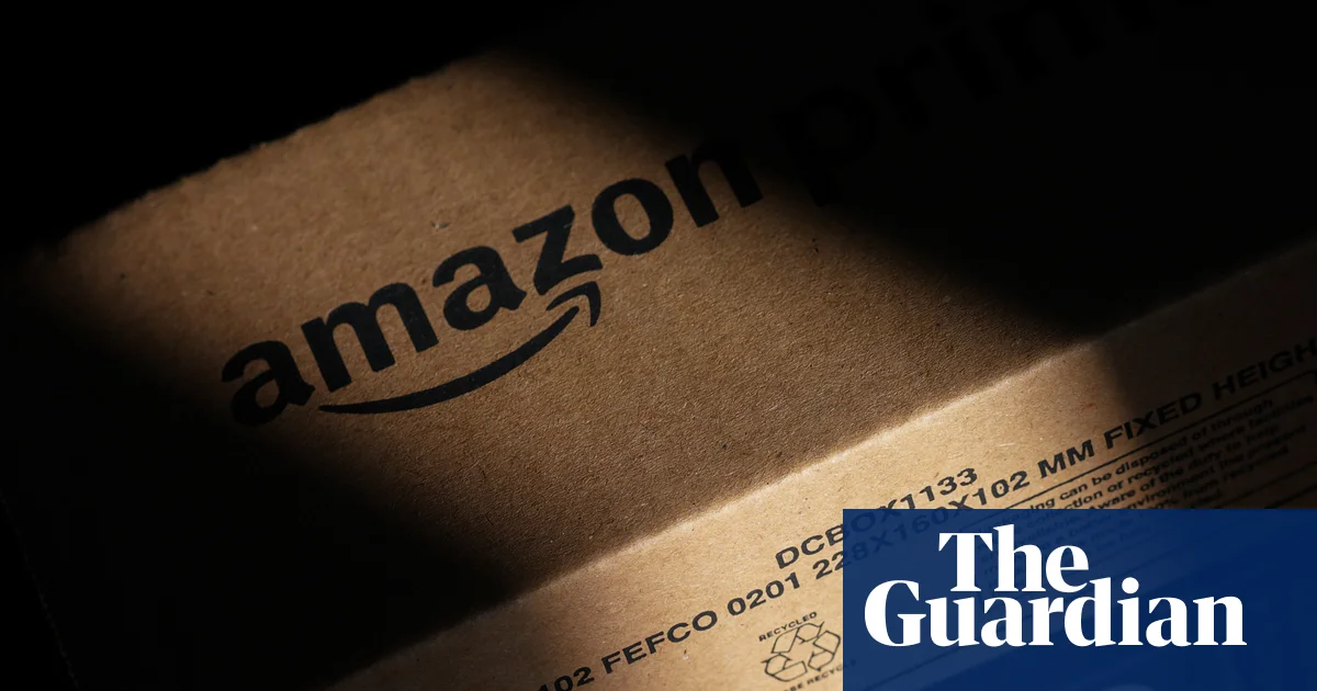 Three-year-old bitten by snake ‘hiding under’ Amazon package in California | California