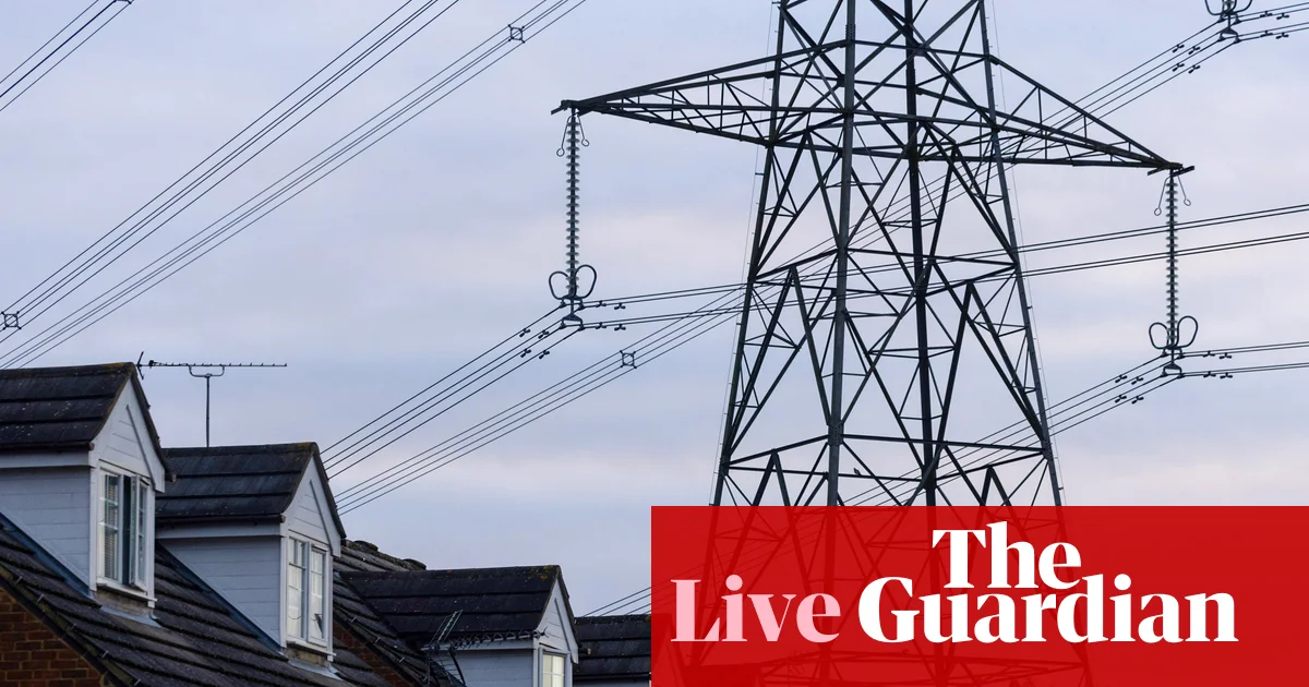 Burnham cuts VAT on household electricity bills; UK borrows less than expected in June – business live | Business