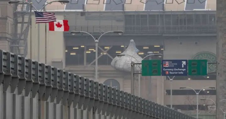 Drug seizures at Canada-U.S. border dropping, Congress hears – National