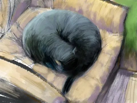 Cat in chair imagined – Samupress