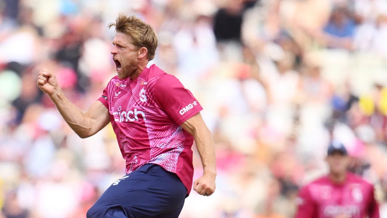 T20 Blast Finals Day – David Willey – ‘Somerset looked like they thought they’d won it’
