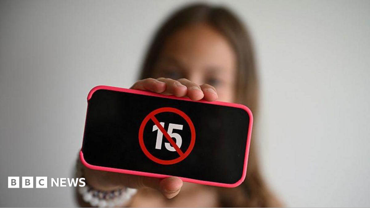 France approves social media ban for under-15s