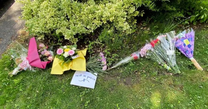 Sentencing expected for boy who killed elderly woman in Pickering, Ont. – Durham