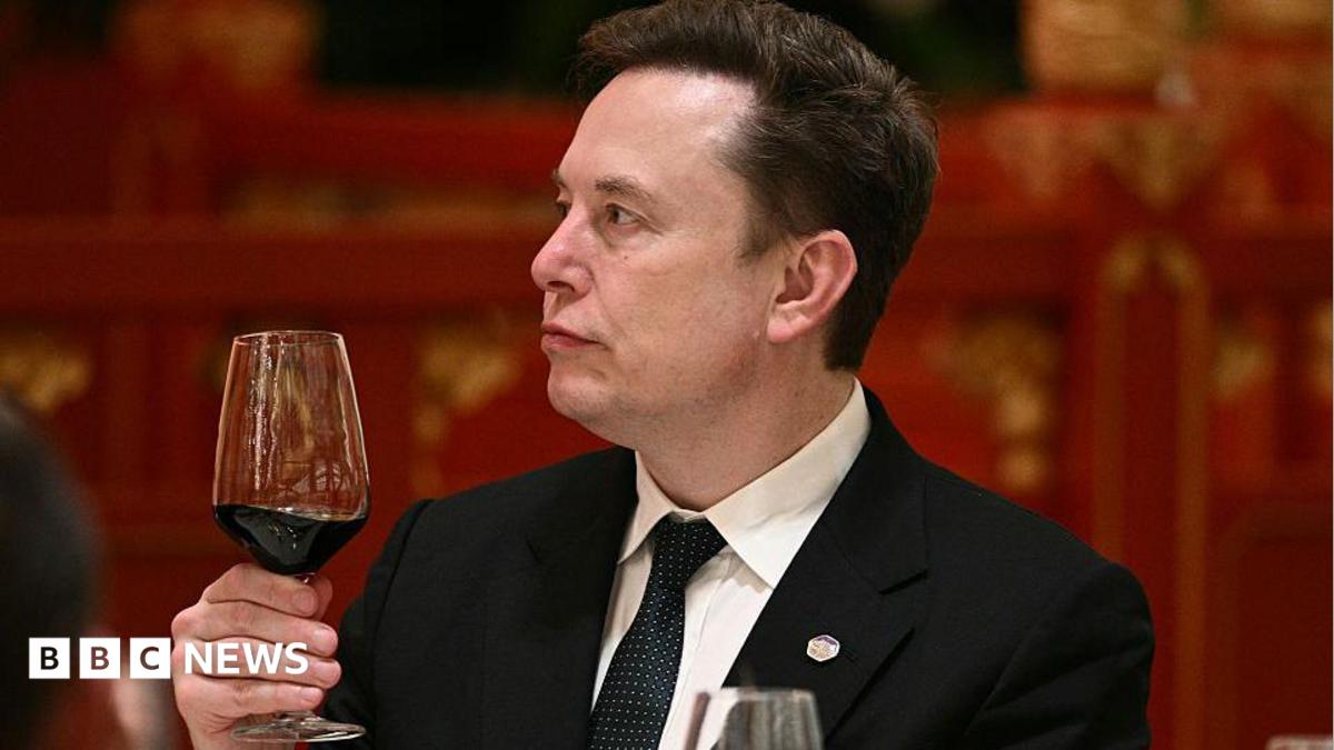 ‘Let’s enjoy the ride’ says Elon Musk, as AI risk concerns mount