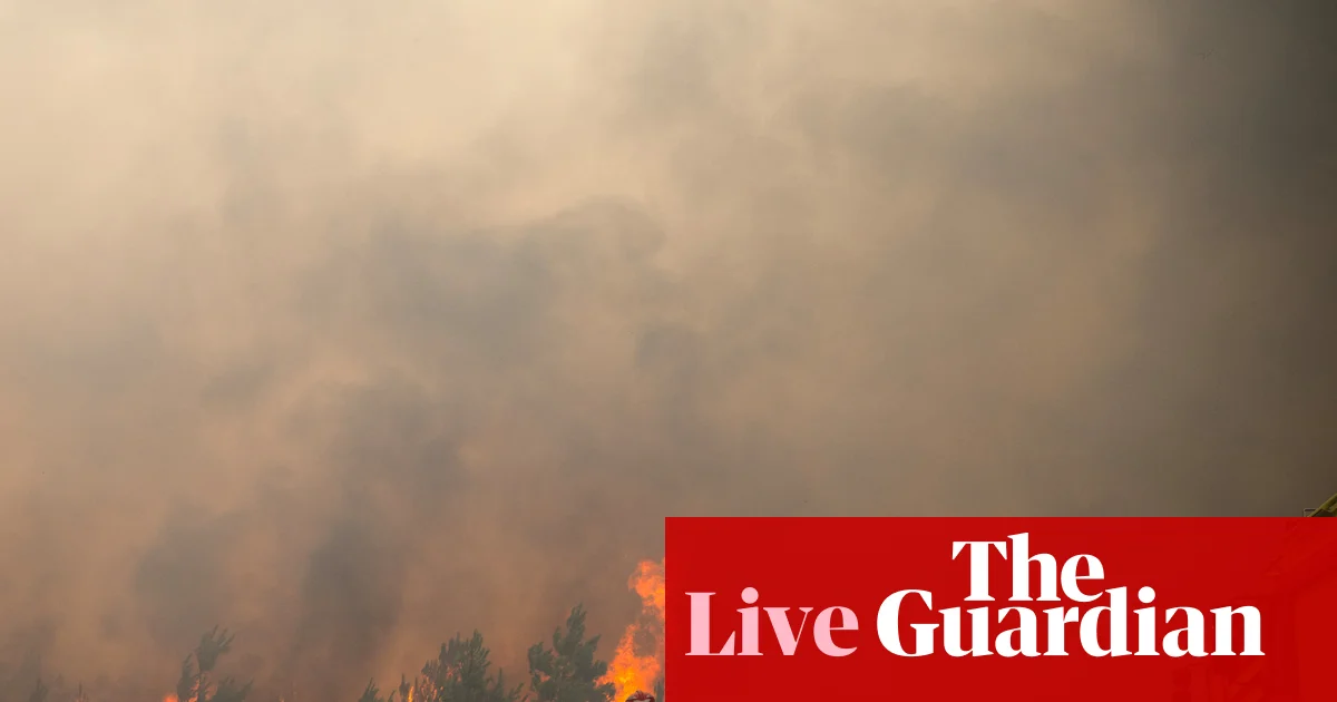 Europe wildfires: more than 300,000 flee homes and holiday accommodation in France and Spain as fires rage | Wildfires