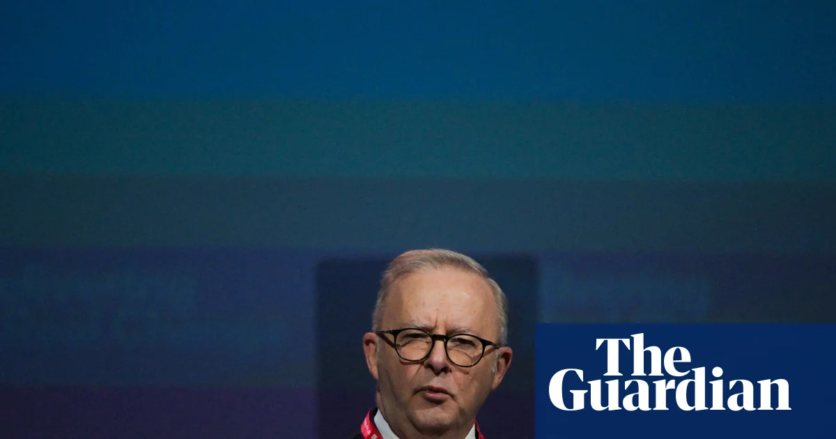 Labor under pressure to allow telehealth access for euthanasia but PM says ‘it should be face-to-face’ | Labor party
