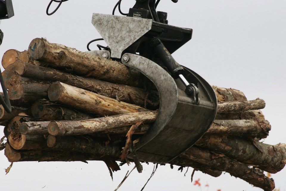 Ottawa lends Millar Western $100M to cope with tariff impacts