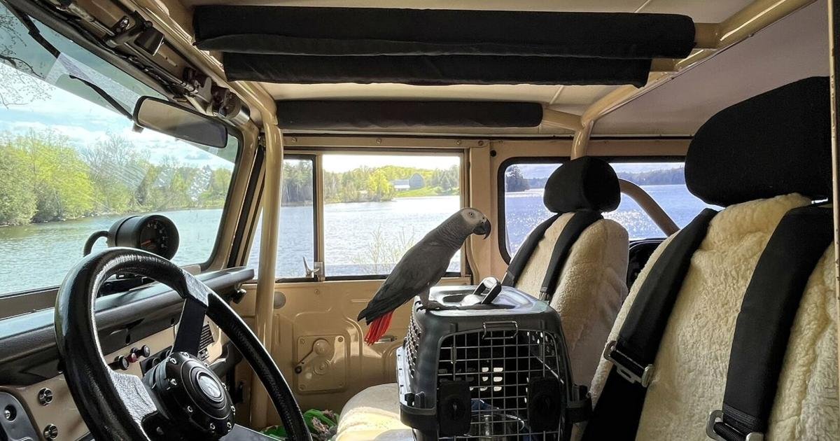 His maverick bush pilot father left him an iconic all-terrain vehicle and … a parrot