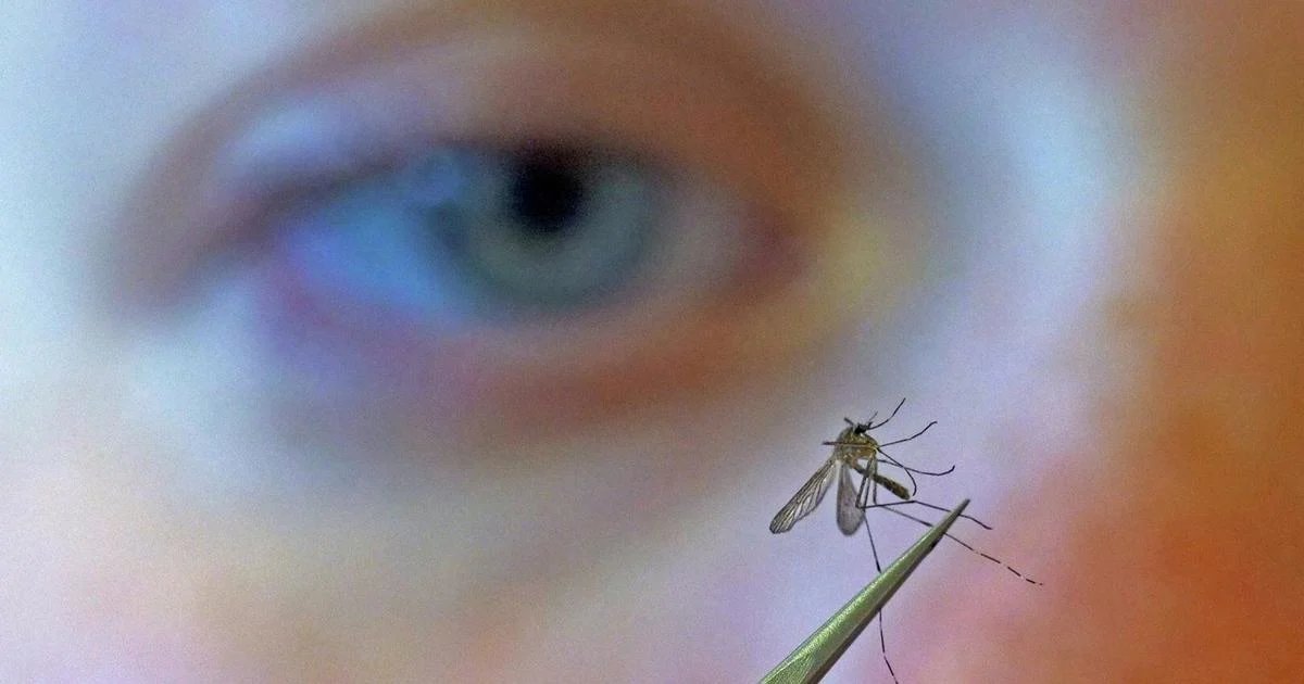 CDC urges people to prevent mosquito bites as West Nile virus season hits a strong, early start