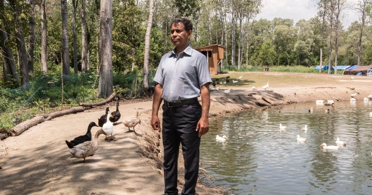 This Muslim family in rural Ontario fears for their safety, as an online conspiracy theory turns into real-world threats: 'We are terrified'
