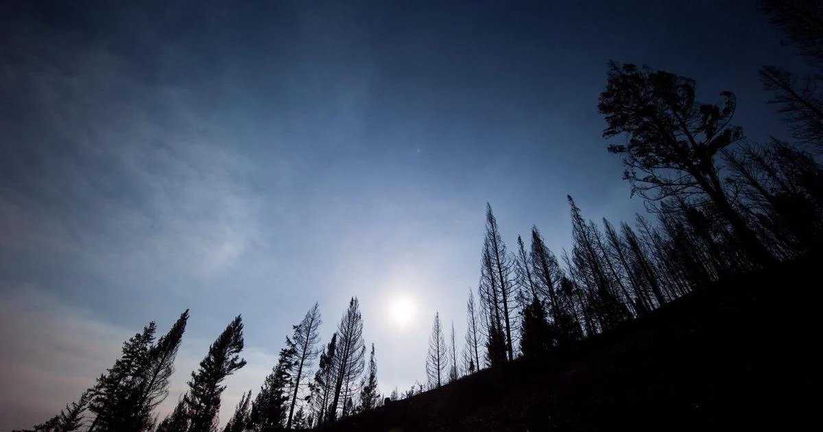 Wildfire evacuation order for Boston Bar, B.C., area alert also extended