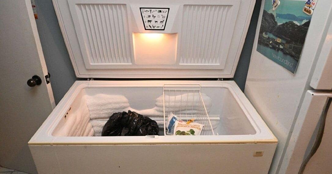 For years, this Toronto woman kept her parents' bodies hidden in a freezer and a Rubbermaid bin — 'I treated them with utmost respect,' she told police