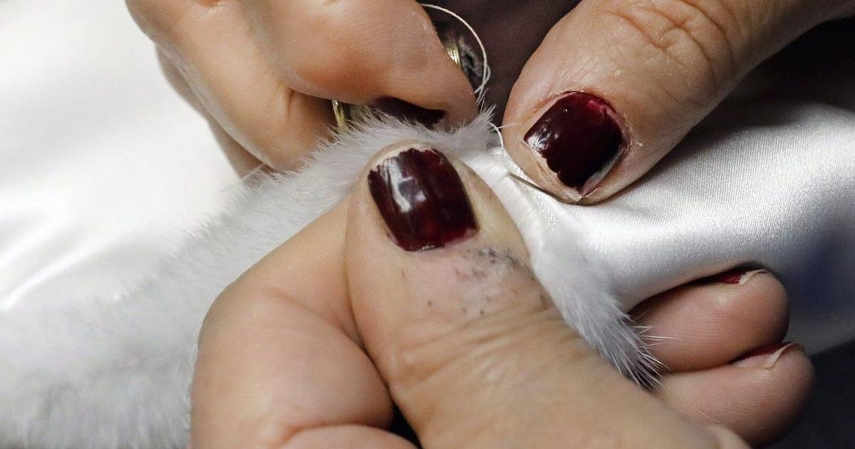 N.L. First Nations chief seeking a reversal of fur product ban on Etsy
