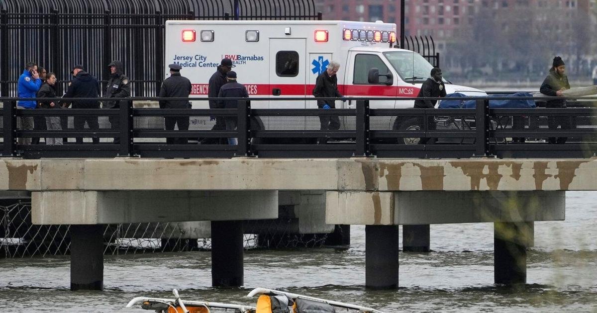 NYC sightseeing helicopter likely hit birds before its fatal plunge into Hudson River, report shows