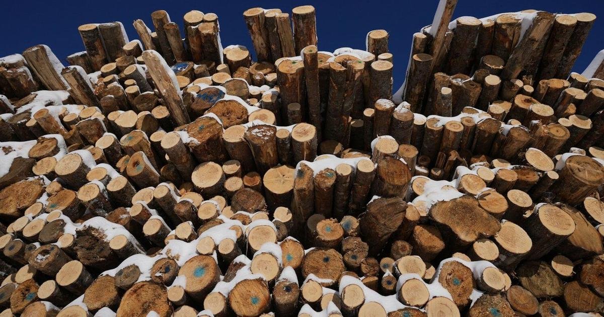 Saskatchewan sawmill curtailing operations, 117 employees affected