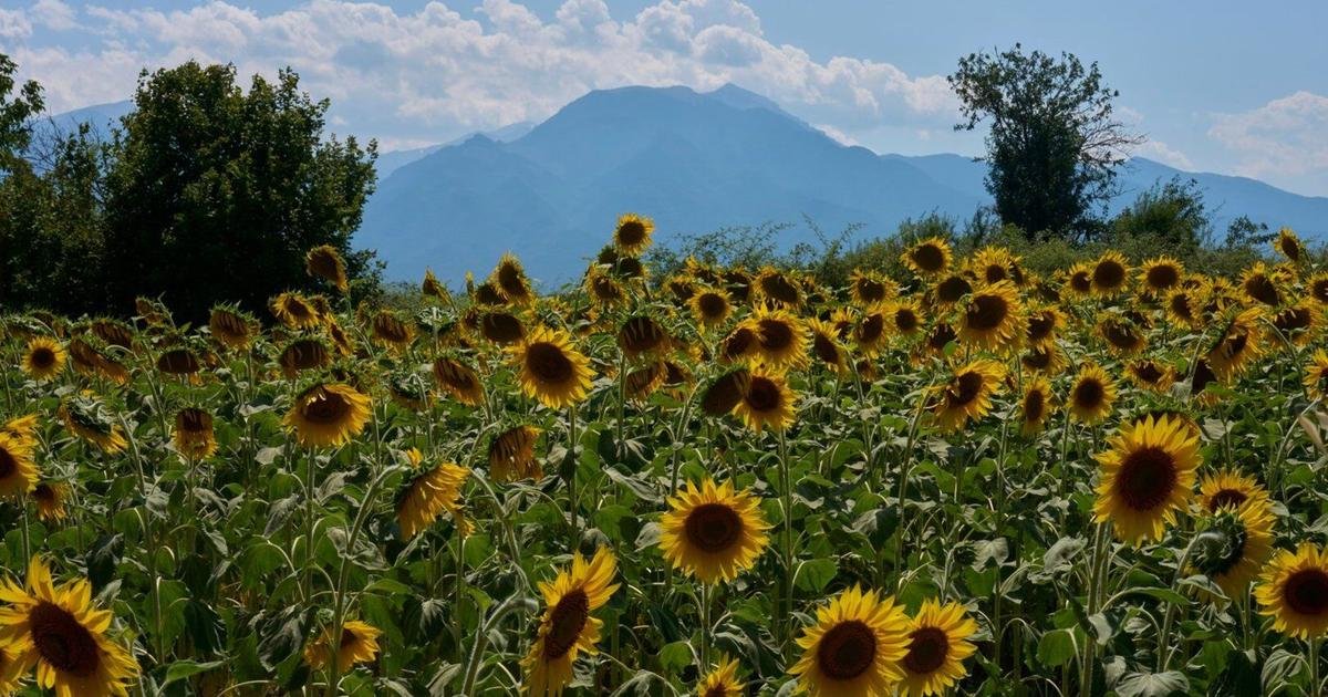 Mount Olympus, home of the ancient Greek gods, is a candidate for the UNESCO World Heritage List
