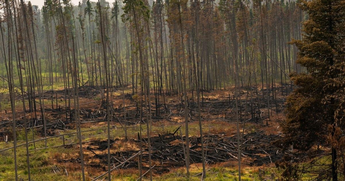 Evacuation orders north of Thunder Bay as wildfires rage