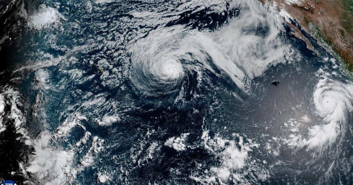 Genevieve becomes a Category 5 hurricane but is not expected to make landfall