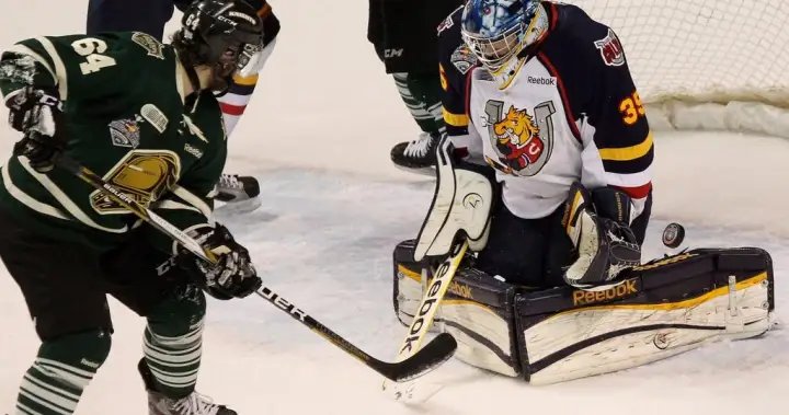 OHL approves Barrie Colts sale to Toronto-area businessman John Careri