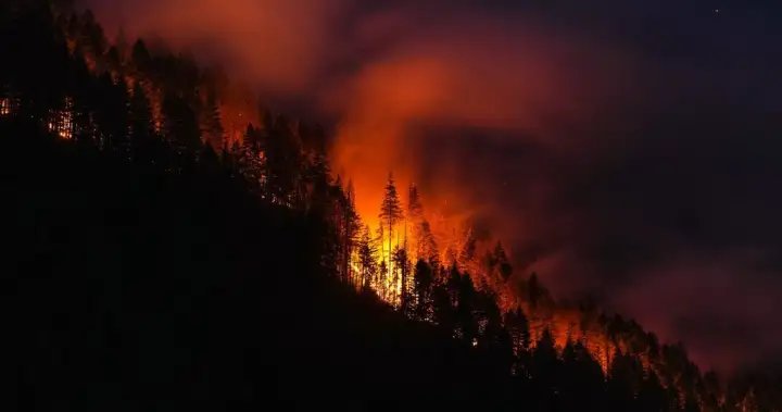 B.C. firefighters face critical days as dry fuels and winds increase fire risks