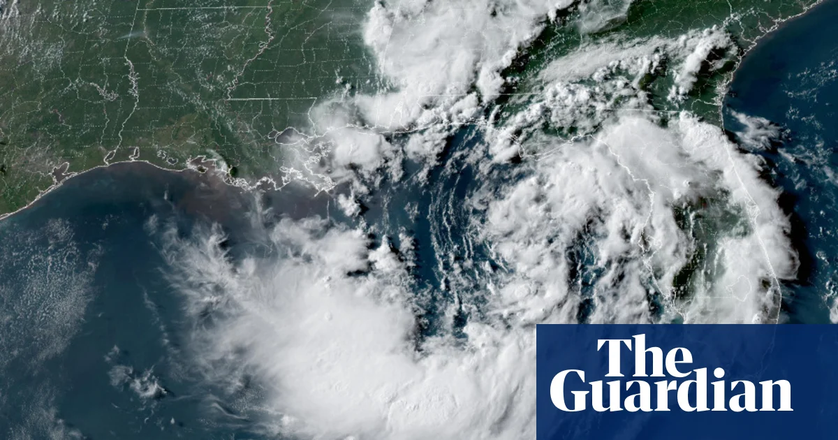 Weather warnings as tropical depression develops along US Gulf coast | US news