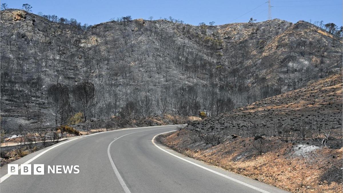 Badly burned British couple rescued from ravine during Spain wildfires