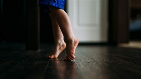 Politics and its Discontents: Walking On Tippy Toes